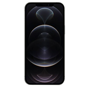 Compra iPhone 12 Pro Max - Tienda Online iServices