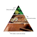 detalles sobre la Turquesa Recarga para Difusor de Aromas