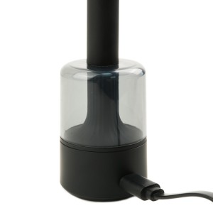 Limpiador de Oídos con Caja Esterilizador - iServices