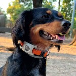 Funda AirTag para Collar - Tienda Online iServices