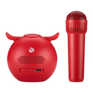 Set de Karaoke para Niños - Tienda Online iServices