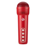 Set de Karaoke para Niños - Tienda Online iServices