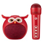 Set de Karaoke para Niños - Tienda Online iServices