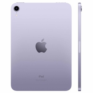 iPad Mini 2021 (6ª generación) - Tienda Online iServices