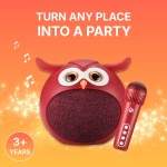 Set de Karaoke para Niños - Tienda Online iServices