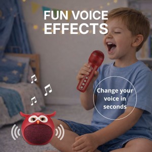 Set de Karaoke para Niños - Tienda Online iServices