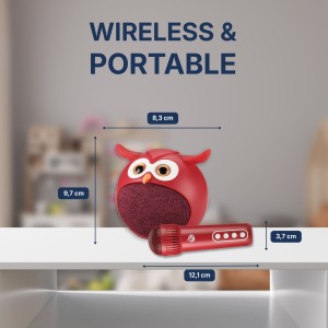 Set de Karaoke para Niños - Tienda Online iServices