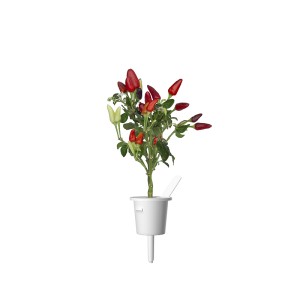 Click and Grow Kit Grow Anything - iServices®