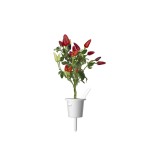 Click and Grow Kit Grow Anything - iServices®