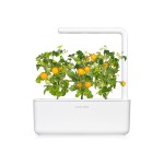 Click and Grow Kit Grow Anything - iServices®