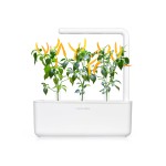 Click and Grow Kit Grow Anything - iServices®