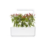 Click and Grow Kit Grow Anything - iServices®