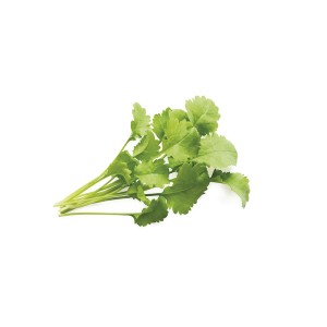 Click and Grow Kit Grow Anything - iServices®