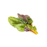 Click and Grow Kit Grow Anything - iServices®