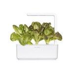Click and Grow Kit Grow Anything - iServices®