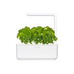 Click and Grow Kit Grow Anything - iServices®