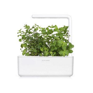 Click and Grow Kit Grow Anything - iServices®