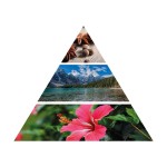 Pirámide Olfativa del Aceite Esencial para Difusor iServices