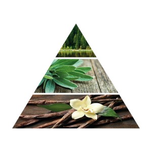 Pirámide Olfativa del Aceite Esencial para Difusor Oud