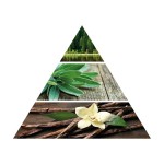 Pirámide Olfativa del Aceite Esencial para Difusor Oud